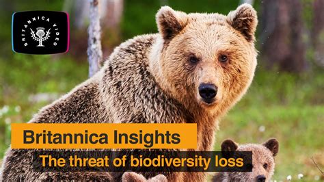 Biodiversity Loss Explored With Dr Enrique Salmon Britannica