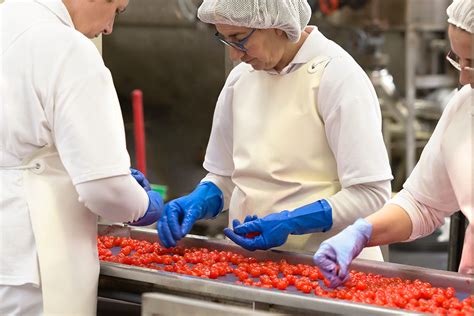 El Control De Calidad Frutas En Conserva Supone Un Máximo Control