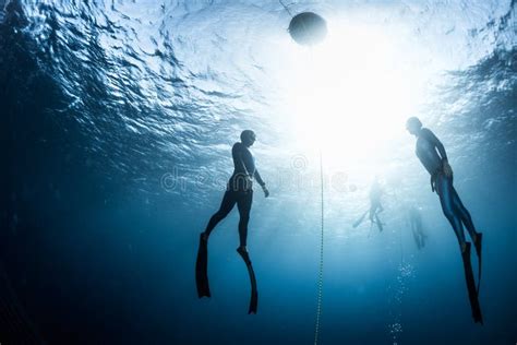 Two Free Divers Ascending From The Depth Stock Photo Image Of People