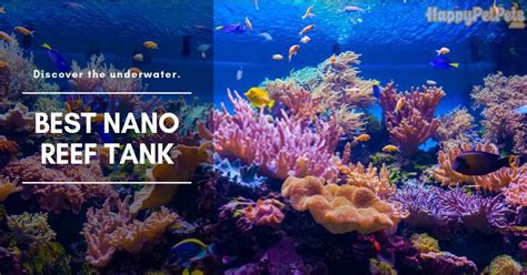 Best Nano Reef Tank 2022 Get All You Need About Nano Reef Tank