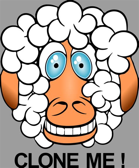 Clipart Funny Sheep