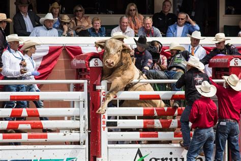 3somes and strip clubs what really goes on at the calgary stampede sporting news australia