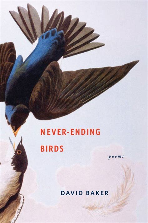 Birds On Book Covers The Casual Optimist Cover Design Inspiration