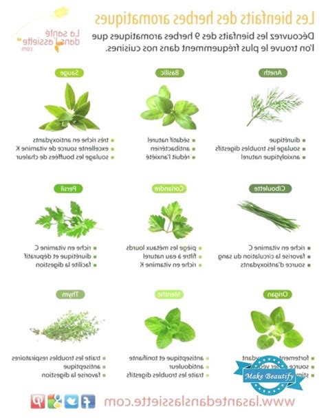 Les Bienfaits Des Herbes Aromatiques Herbes Aromatiques Santé