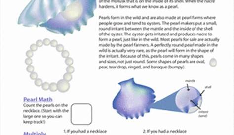 How Are Pearls Formed? | Worksheet | Education.com | Science for kids