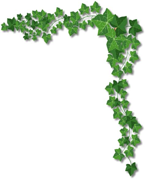 Clipart Borders Ivy Clipart Borders Ivy Transparent Free