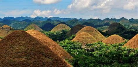 What Causes These Giant Molehills In The Philippines