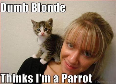 20 Funniest Blonde Memes For You