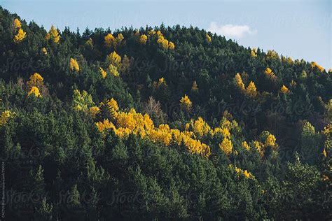 Autumn Mountain By Stocksy Contributor Cactus Creative Studio Stocksy