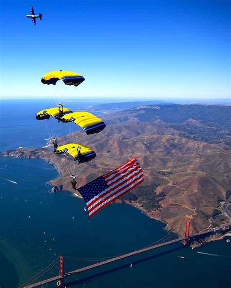 TREVOR THOMPSON Consulting & demonstrations