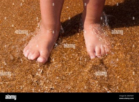 Childrens Legs Are On The Seashore Bare Feet Of A Child On The