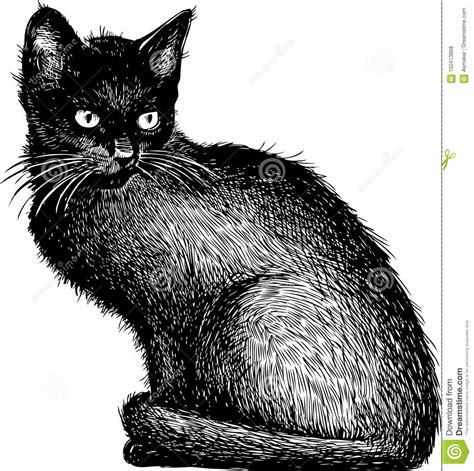 You need a little effort to sketch. Sketch of a black kitten stock vector. Illustration of ...