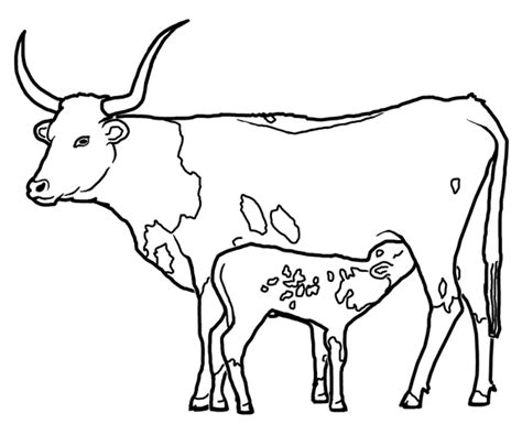 Farm Animals Coloring Pages Cow