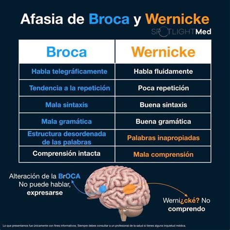 Jul 30, 2021 · la afasia de wernicke, afasia sensorial o afasia receptiva, recibe su nombre del neurólogo alemán carl wernicke, quien describió esta afasia e investigó sus diferencias respecto a la afasia motora o de broca, es un trastorno del lenguaje producido por una lesión en el tercio posterior de la circunvolución temporal superior, conocida como. Pin en Uní