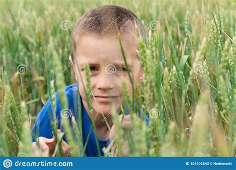 Cute Little Farmer In Wheat Field Stock Image Image Of Elegance
