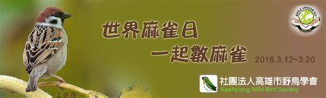The site owner hides the web page description. 世界麻雀日 用數麻雀來愛環境 | 台灣動物新聞網