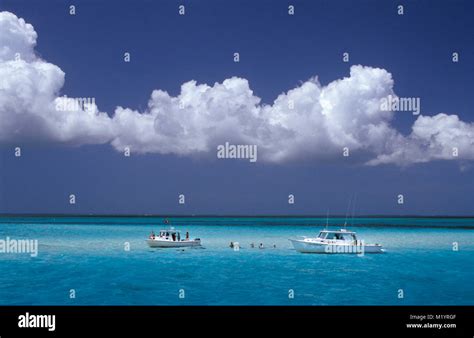 The Bahamas Bimini Islands Caribbean Island Yachts And People