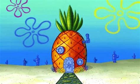 Un homenaje a bob esponja y al mundo ideado por su creador, el fallecido stephen hillenburg bob esponja, calamardo, patricio, arenita o don cangrejo están de luto. La casa de Bob Esponja tiene su versión real en una villa ...