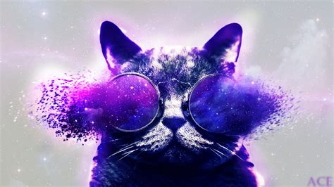 Galaxy The Cat By Acenotace On Deviantart