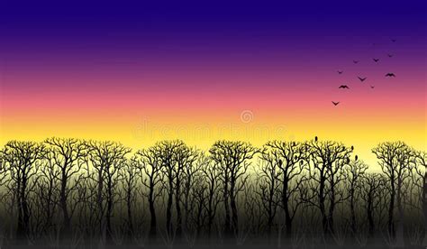 Line Of Trees On The Horizon Sunset Stock Vector Illustration Of
