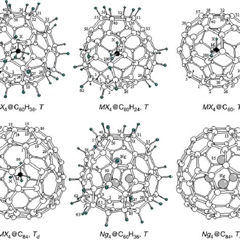 The Structure Of Endohedral Fullerene Clusters With Benzene And