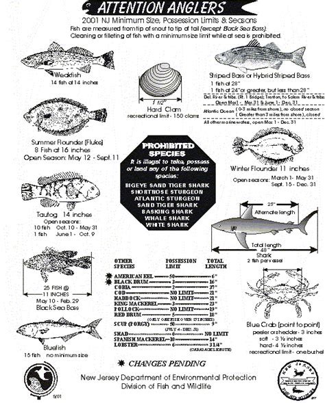 2021 recreational atlantic bluefin tunas retention limits boat engine cutoff switch law in effect as of april 1 2021 nj saltwater fishing regulations 2001 Marine Minimum Size, Possession Limits and Seasons