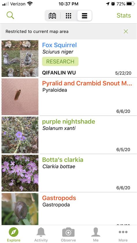 Identifying plants can be a lot of fun once you get started. Nature Identification Apps - by Jill from the North Woods ...