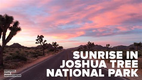 Sunrise In Joshua Tree National Park Youtube