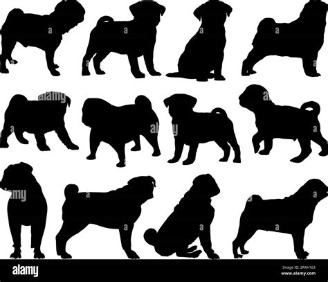 Set Of Pug Dog Silhouette Stock Vector Image And Art Alamy