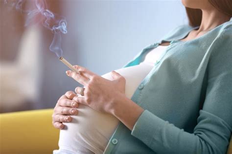Maternal Smoking During Pregnancy Heightens Fracture Risk In Offspring Latest News For Doctors