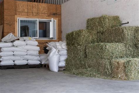 What Is The Best Hay For Horses A Complete Guide