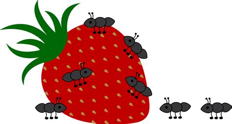 Ants Crawling On Strawberry Free Clip Art
