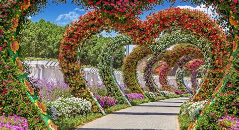 The Dubai Miracle Garden Has Reopened And Its Better Than Ever