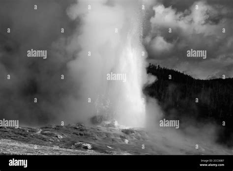 Old Faithful Geyser In Black And White Stock Photo Alamy