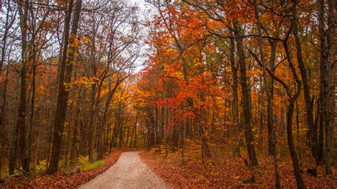 Fall Colors In Indiana When And Where To Experience The Best Foliage