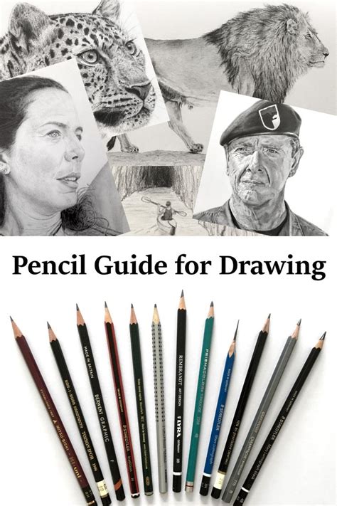 Beginners Guide To Drawing Pencils And Materials Drawing Supplies
