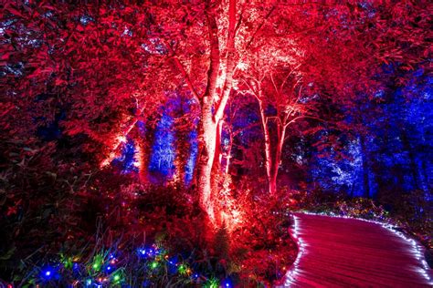 Проверьте 'gartenschau' перевод на английский. Die Gartenschau erstrahlt wieder in besonderem Licht