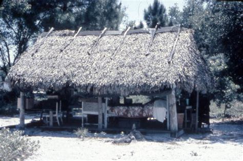Florida Memory Seminole Indian Chickee Hut In The Florida Everglades