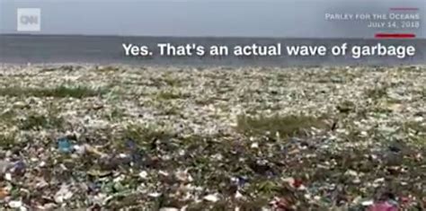 see wave of garbage off the dominican republic coastal care