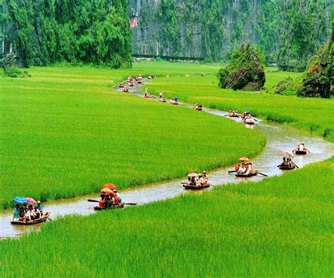 The Amazing World Cuc Phuong National Park Vietnam