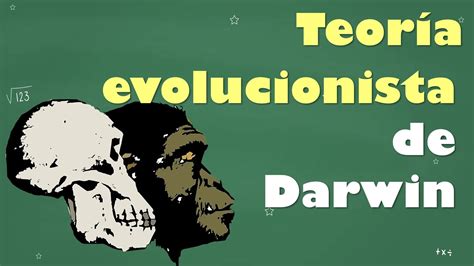 ⭐teoría Evolucionista De Darwin 📘 Aulamedia Historia Youtube