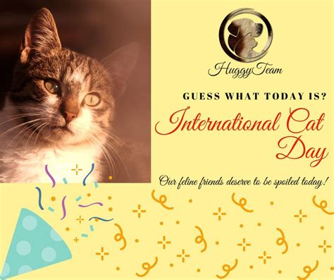 Happy International Cat Day International Cat Day Cat Day Feline