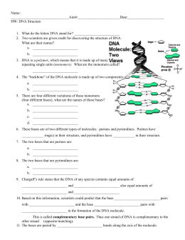 All formats available for pc, mac, ebook readers and other mobile devices. 33 Dna Structure Worksheet Answer - Worksheet Project List