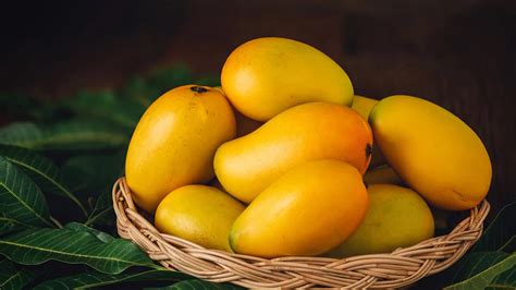 Mangoes Allergy How Mango Causes Rashes And Pimples And Affects Your