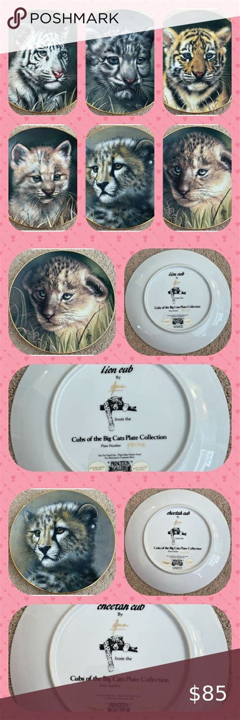 6 vintage princeton gallery “cubs of the big cats” collectible 8 plates big cats cubs plates