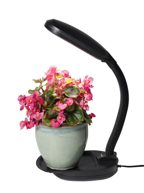 King plus 1000 watt led grow light review. Hydrofarm CFL Grow Light for Desktop | Gardeners.com ...