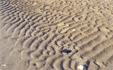 See more of ripples on facebook. Ripples and Dunes
