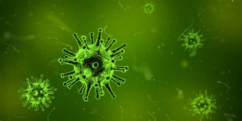 Microbes 101 Viruses Viruses Represent The Most Microscopic By