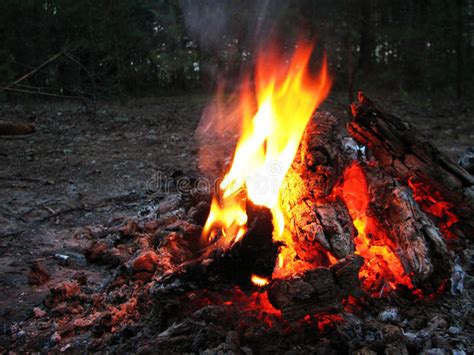 Bonfire In The Forest Stock Photo Image Of Inferno 57178560
