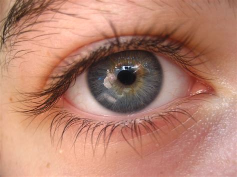 Multi Colored Eye Hannahs Eye Nicholas Petrone Flickr